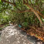 A Slice Of Naples Life