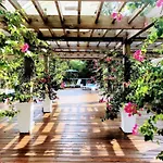 Orchid Estates