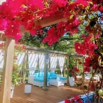 Orchid Estates