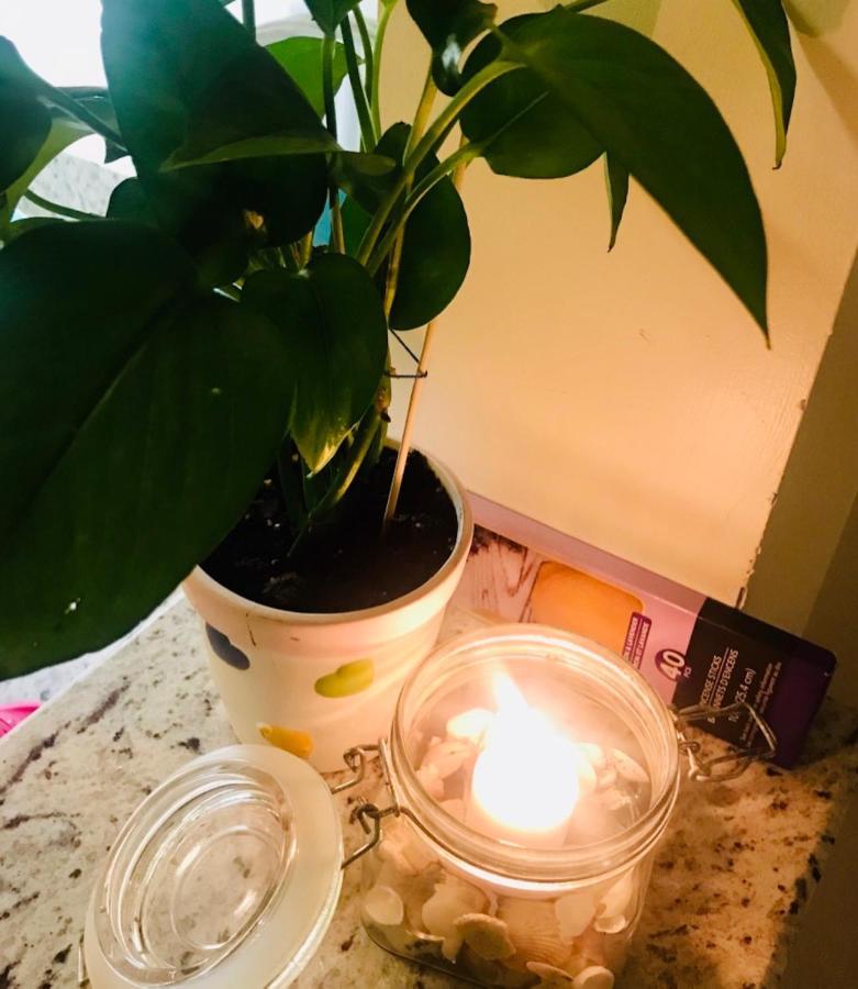 Sunny And Relaxing 2br With Parking!