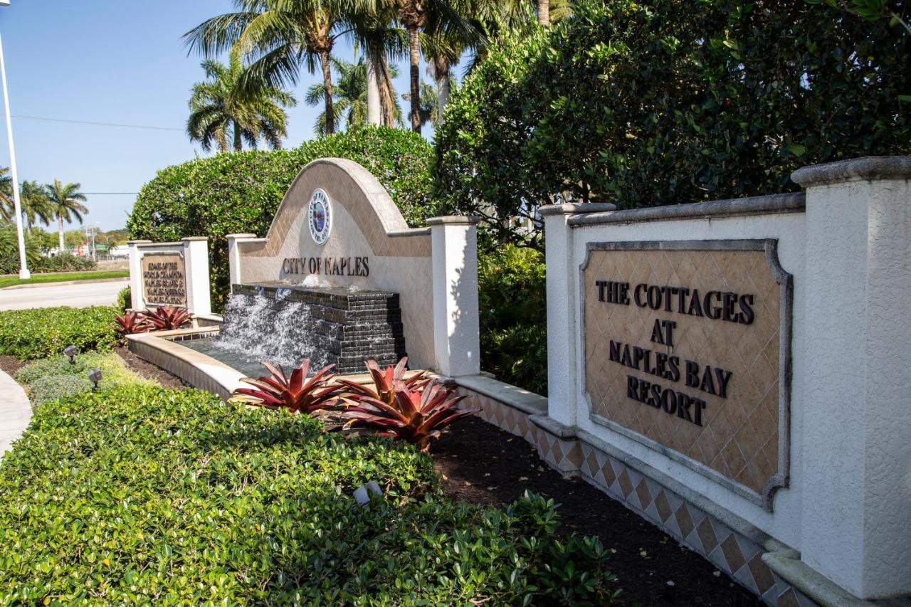 Bay With Fabulous Amenities, Near & Downtown! Apartment