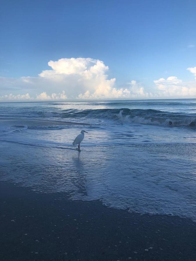 Apartment Dream At Wtc With Heated Pool Sauna 7 Bicycles And 3 Mls To Naples