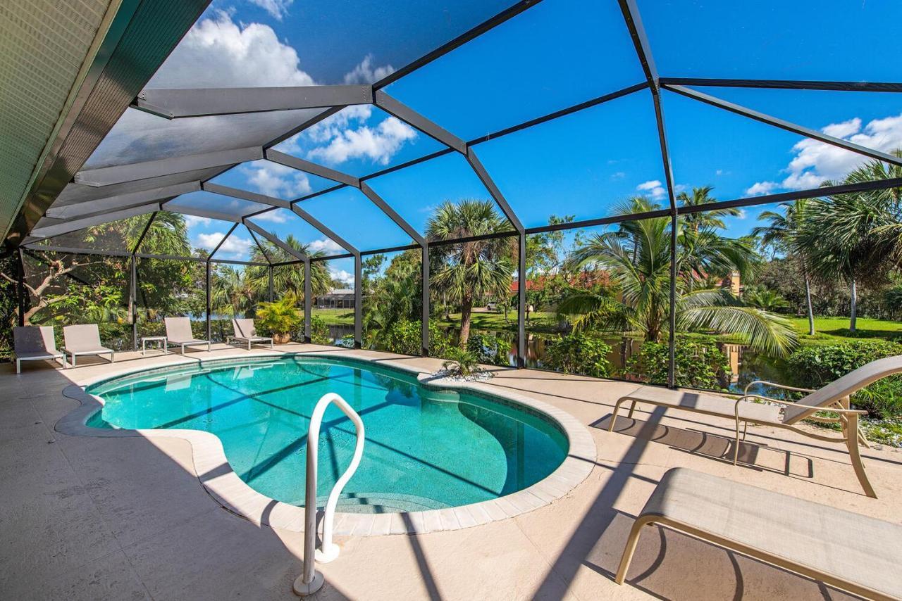Palms And Pool In Beaches And National Parks *