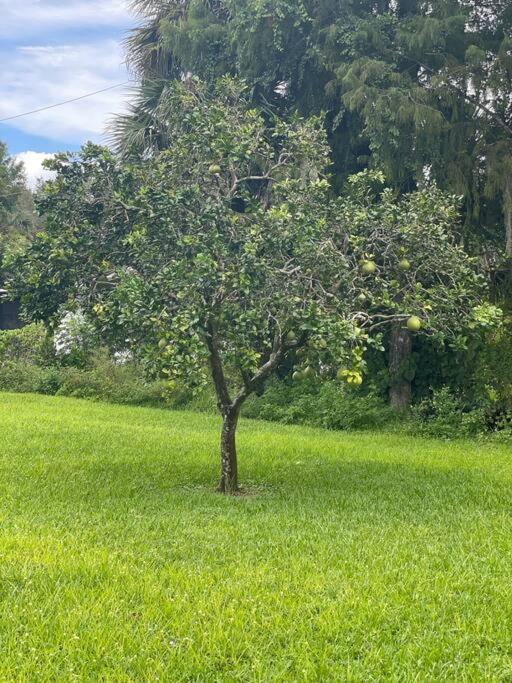 La Finca... Beautiful Countryside !