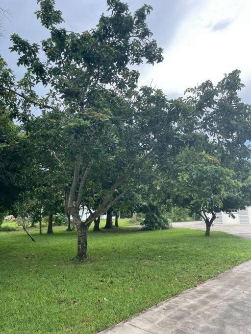 La Finca... Beautiful Countryside ! Villa