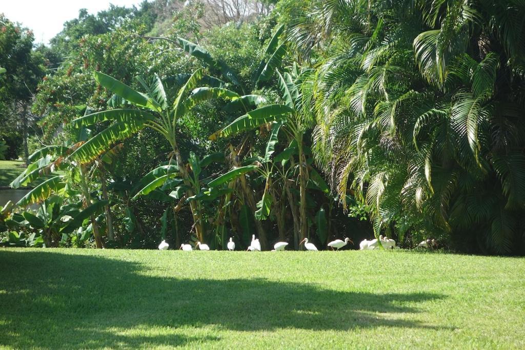 Holiday home Great Family With A New Sparkling Pool,lovely View, Close To Naples