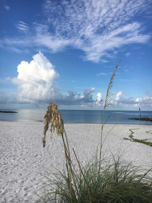 Our Favorite Place Villa Naples