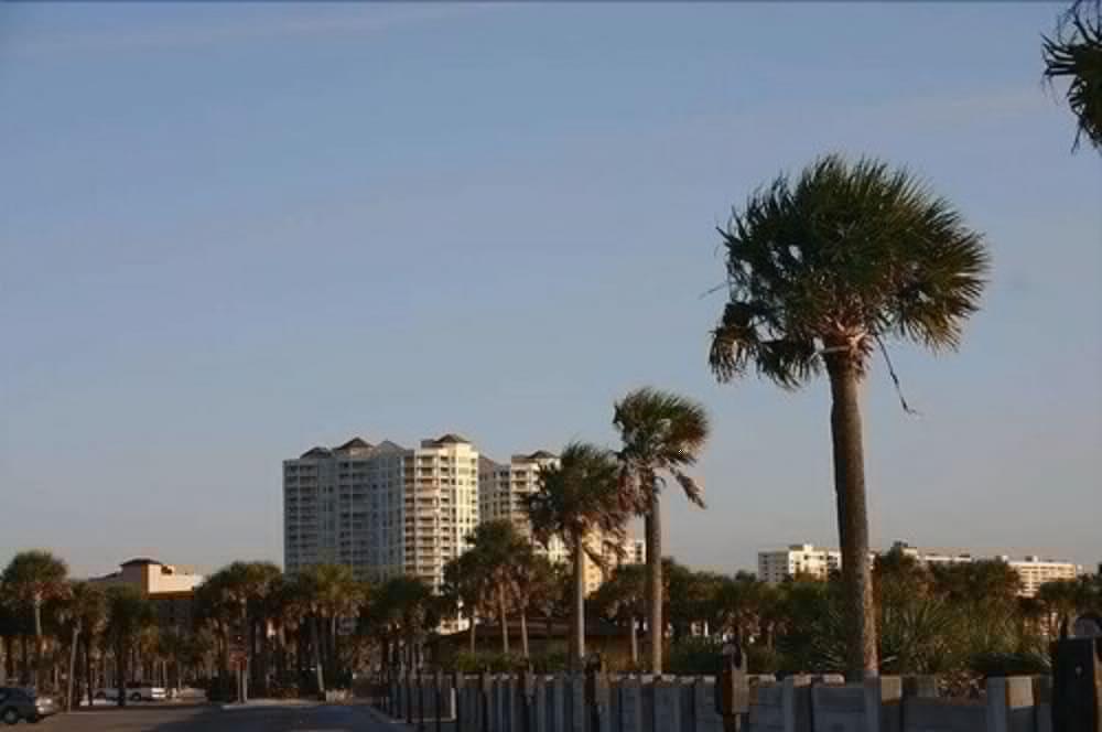Hampton Naples-central Hotel