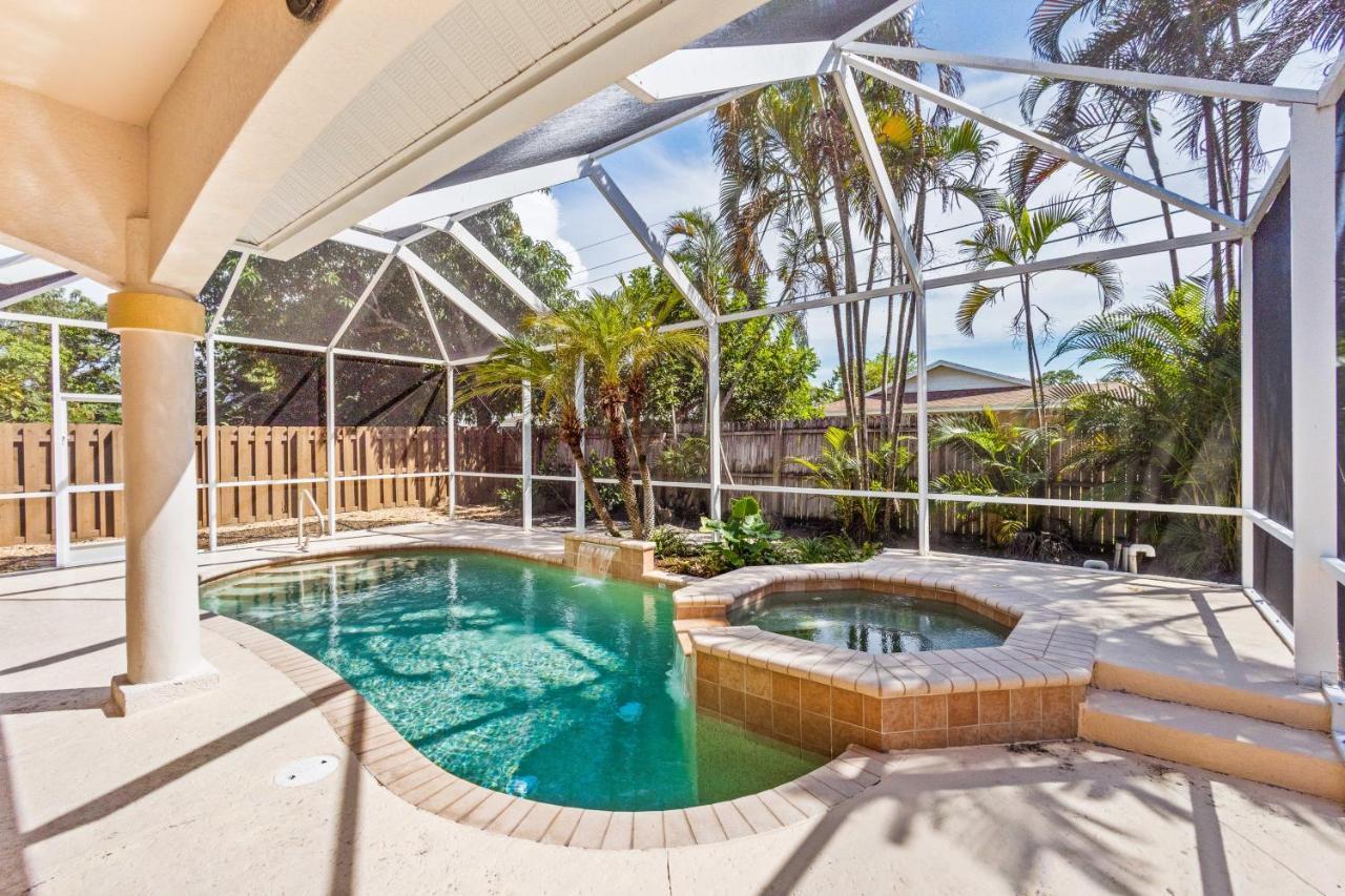 Peaceful Palms