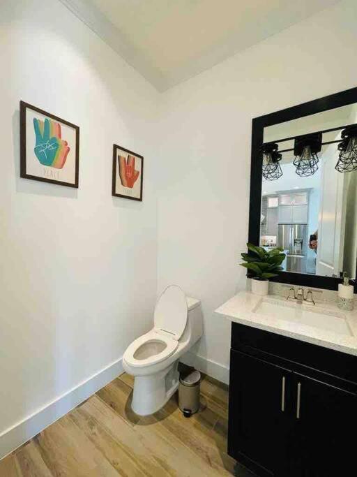 A Beautiful Modern Luxury