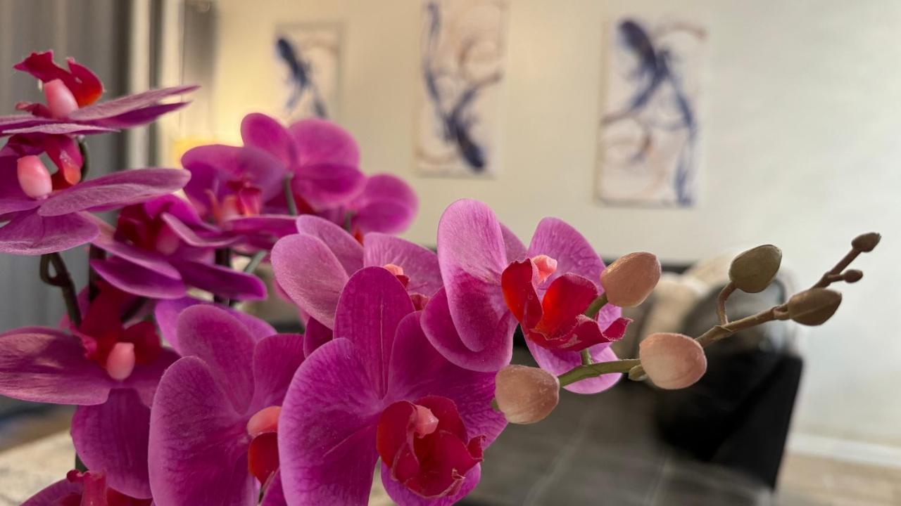 Greenlinks At Lely Luxury Purple Orchid Fully Renovated Modern 1st Floor 3bdr Golf * Naples