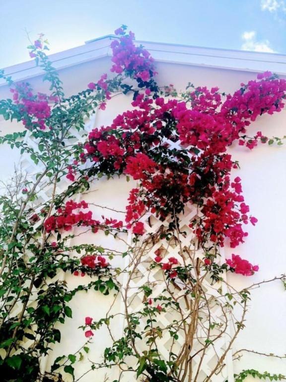 Holiday home Orchid Estates Naples