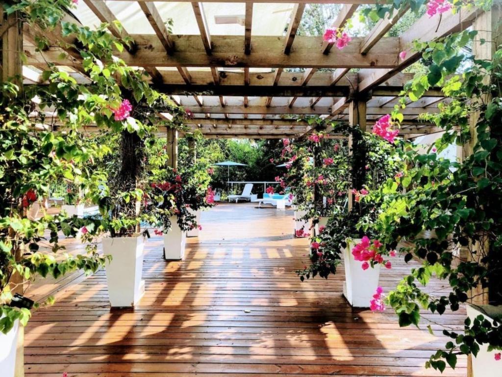 Orchid Estates