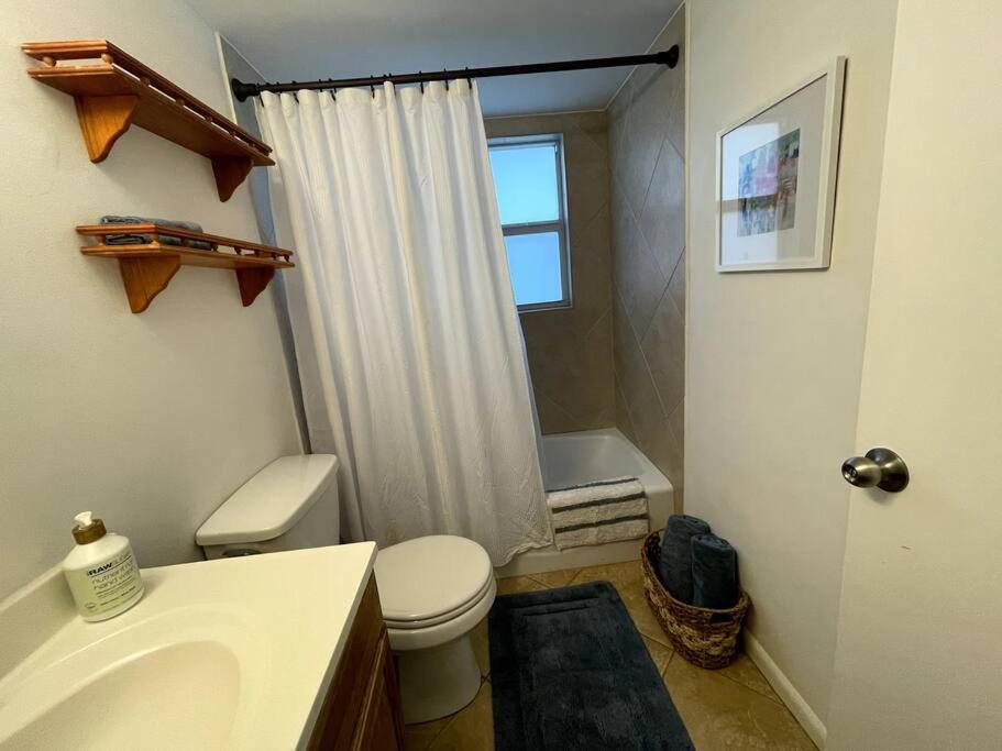 Apartment Renovated Cozy In *