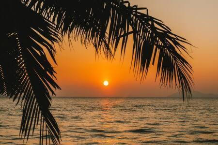Life - Less Than 1 Mile To Vanderbilt Beach! - On The Water Naples