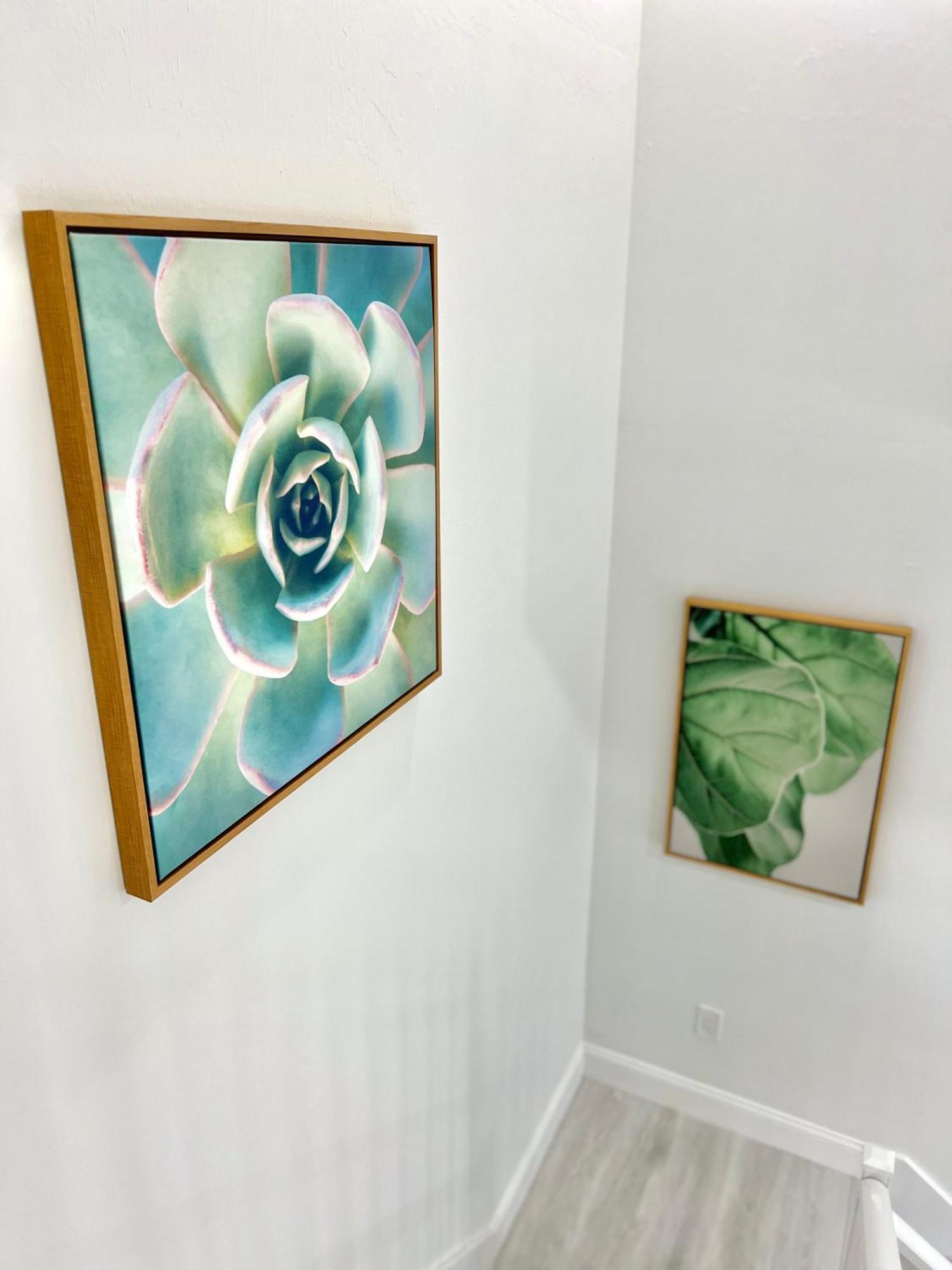 Holiday home New 2br 2ba Modern Botanical Canvas *