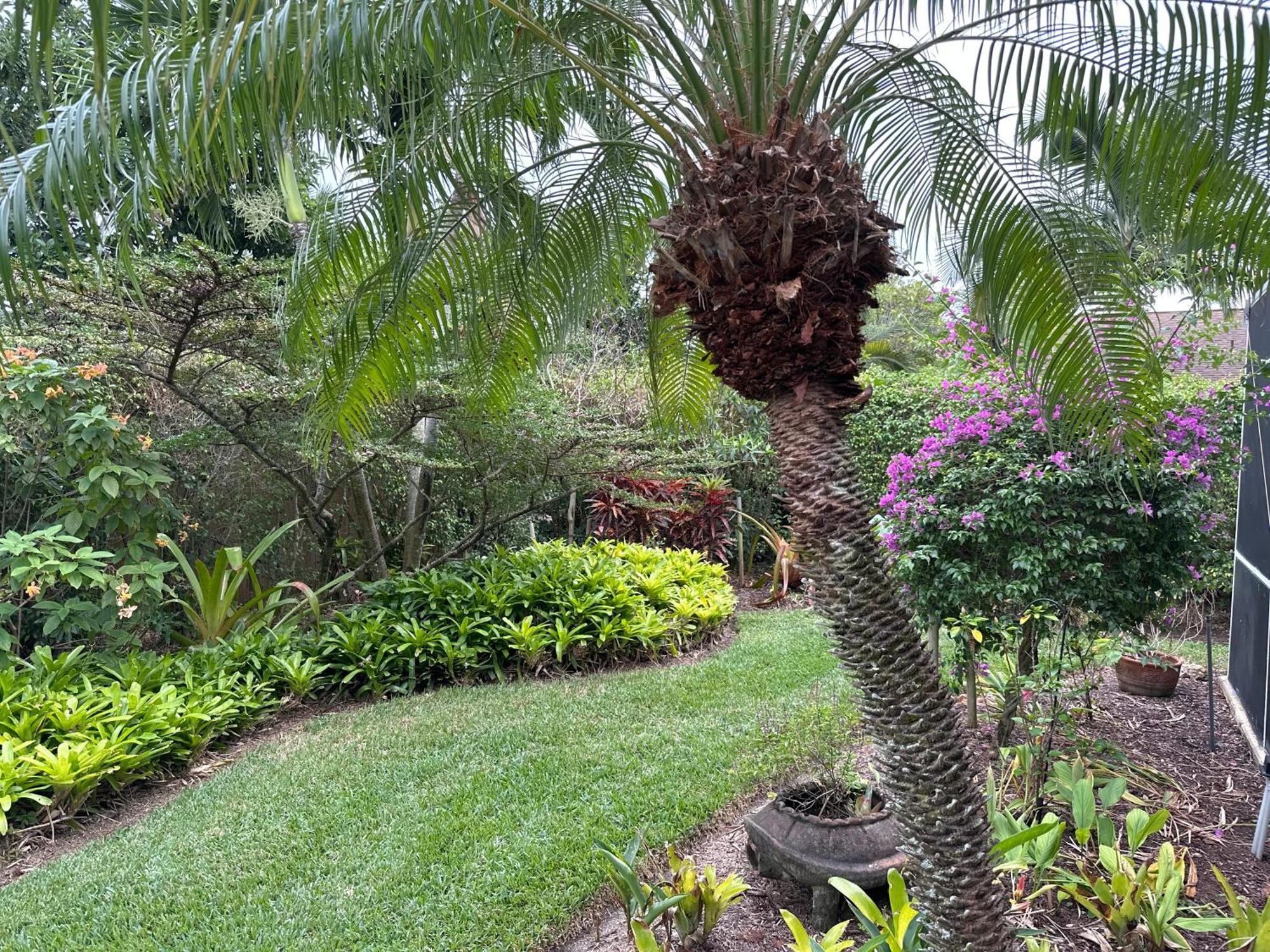 Florida House, 4br 2bt With Private Pool Oasis *