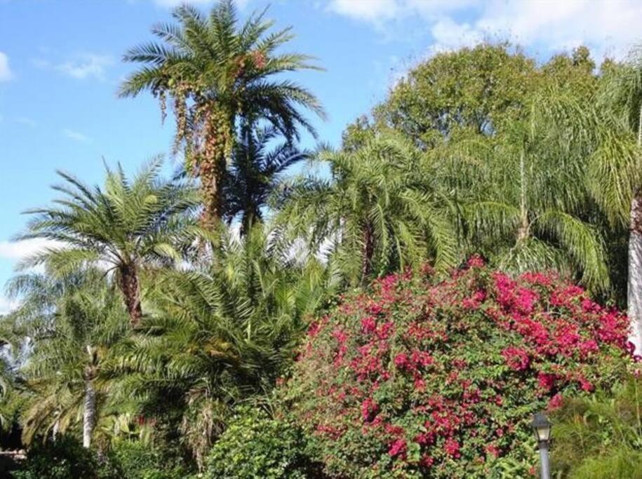 Apartment Park Shore Beautiful Floor 2bed 2bath