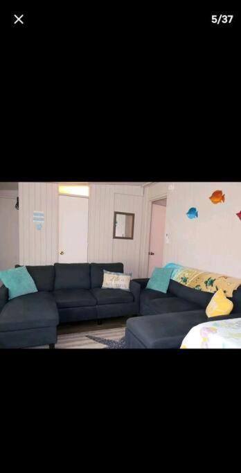Getaway Half Mile From The With Fenced Yard Apartment *