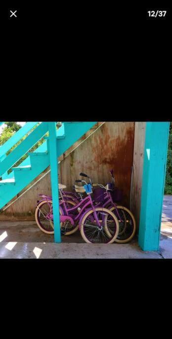 Getaway Half Mile From The With Fenced Yard Apartment Naples
