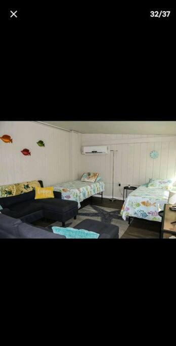 Getaway Half Mile From The With Fenced Yard Apartment
