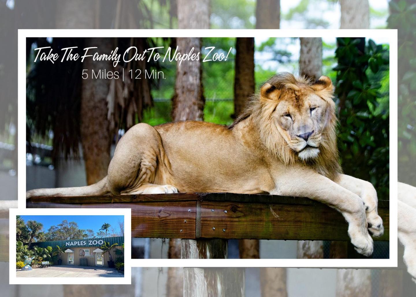 Luxury Family Pool, Jacuzzi, 2 Pickleball Court, Ping Pong Table Very Private Sleeps 8 Naples