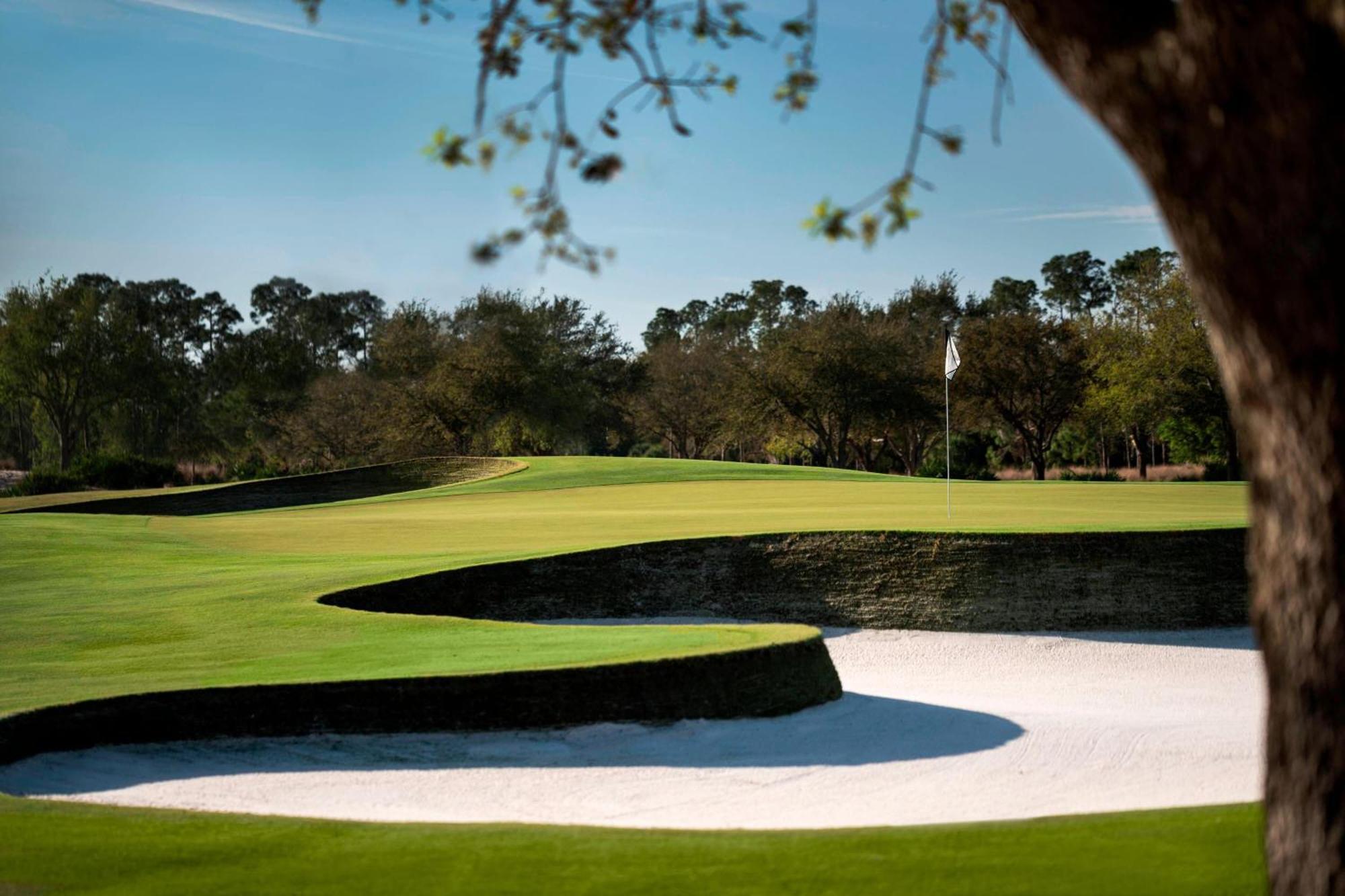 The Ritz-carlton Naples, Tiburon Resort 5*