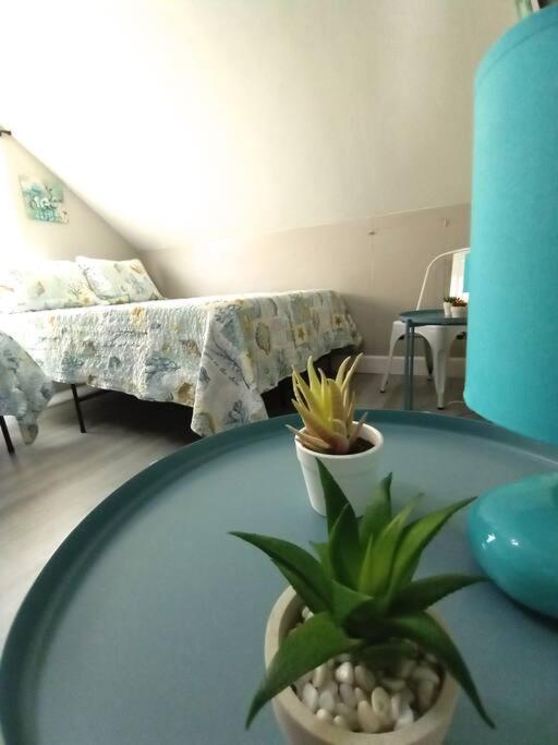Sea La Vie Cozy On 500 Block, Walk To Only Half Mile Away, Sleeps 6 Naples