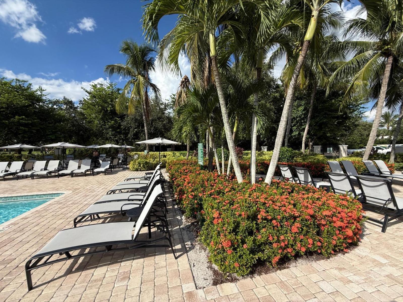 Spacious 2 Bedroom Lely Fl Apartment *