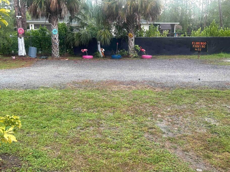 Apartment King Flamingo Guest Naples