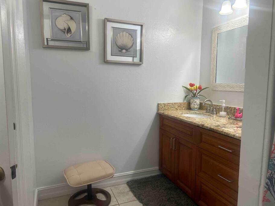 King Flamingo Guest Apartment