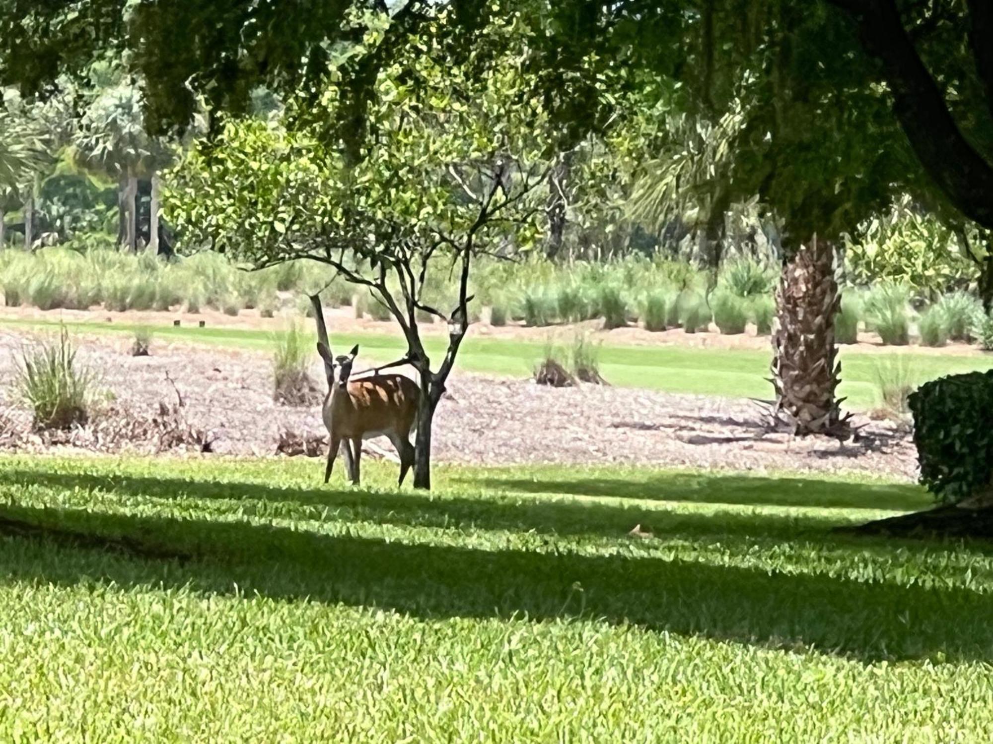 Twin Eagles Golf Pickleball Bald Eagle Way New Clubhouse Two Courses Holiday home Naples