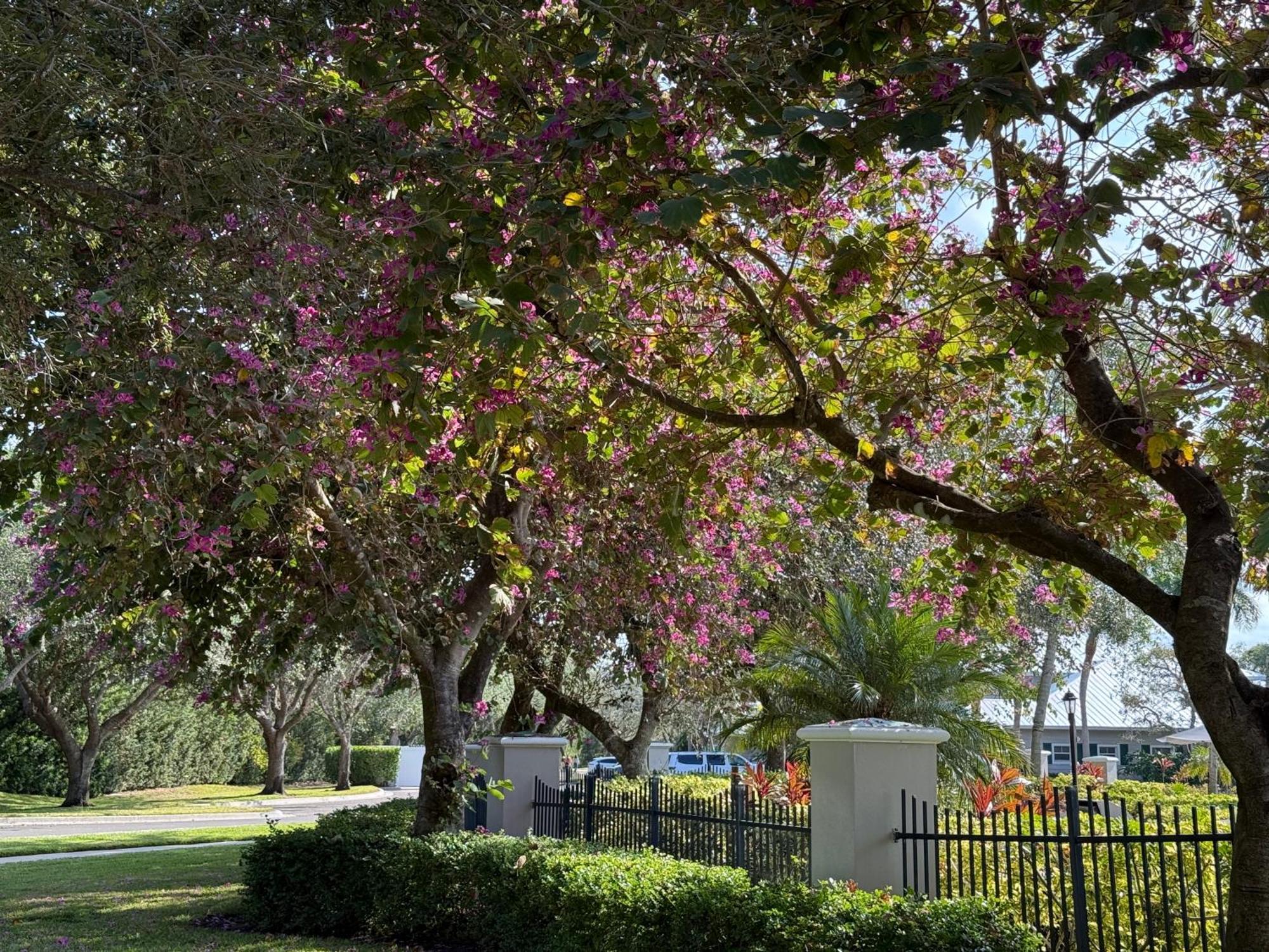 Spacious 2 Bedroom Lely Fl