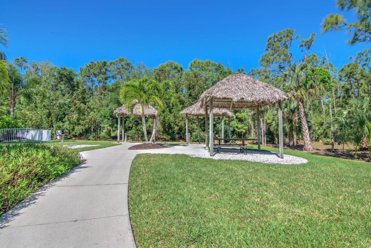 Sunny Coral Falls With Vibrant Tropical Colors Naples