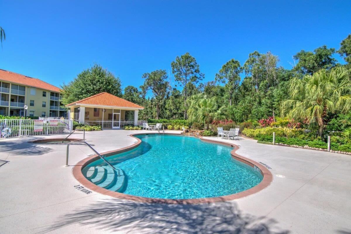 Sunny Coral Falls With Vibrant Tropical Colors Holiday home *