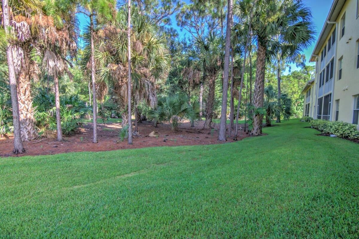 Holiday home Sunny Coral Falls With Vibrant Tropical Colors Naples