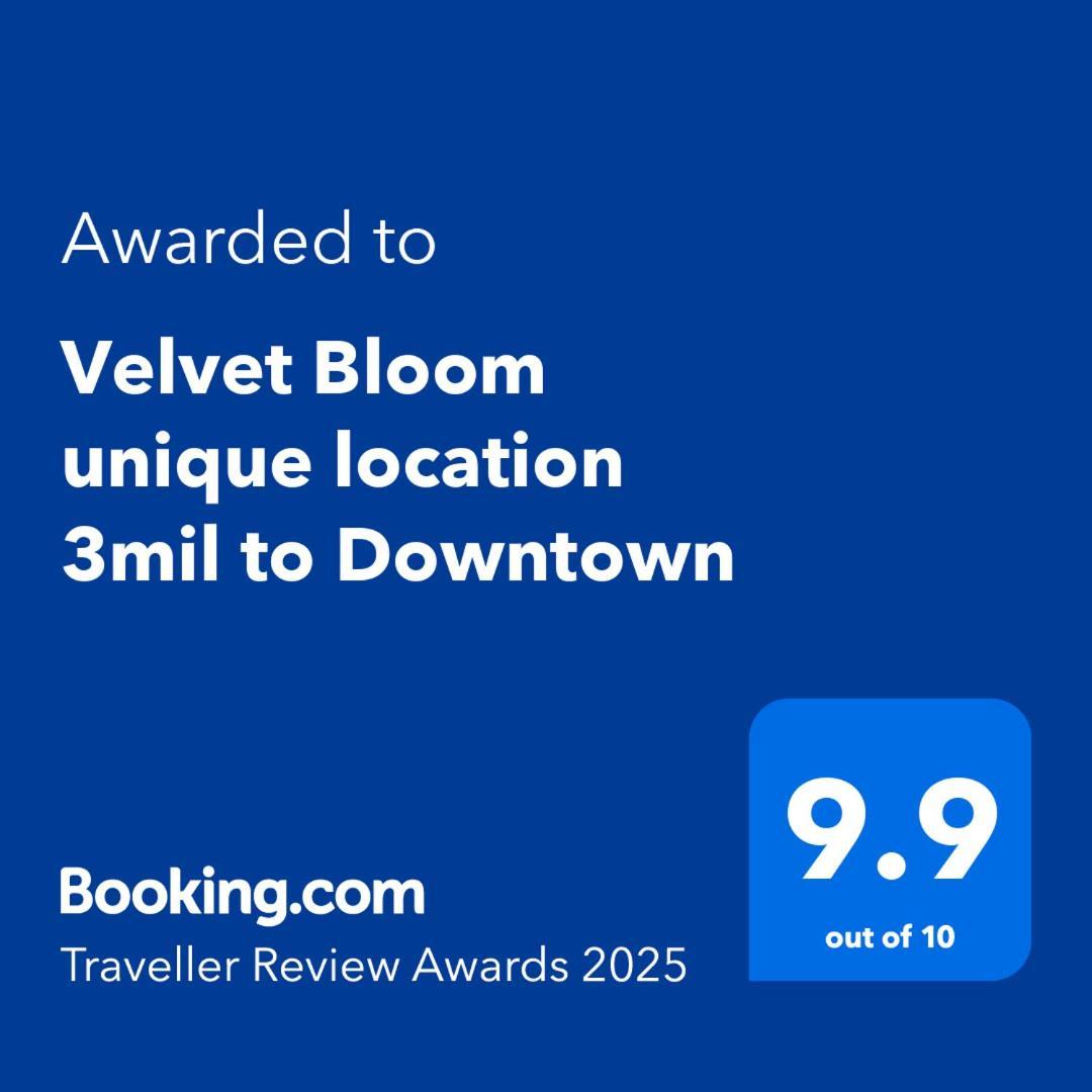 Velvet Bloom Unique Location 3mil To Downtown Holiday home