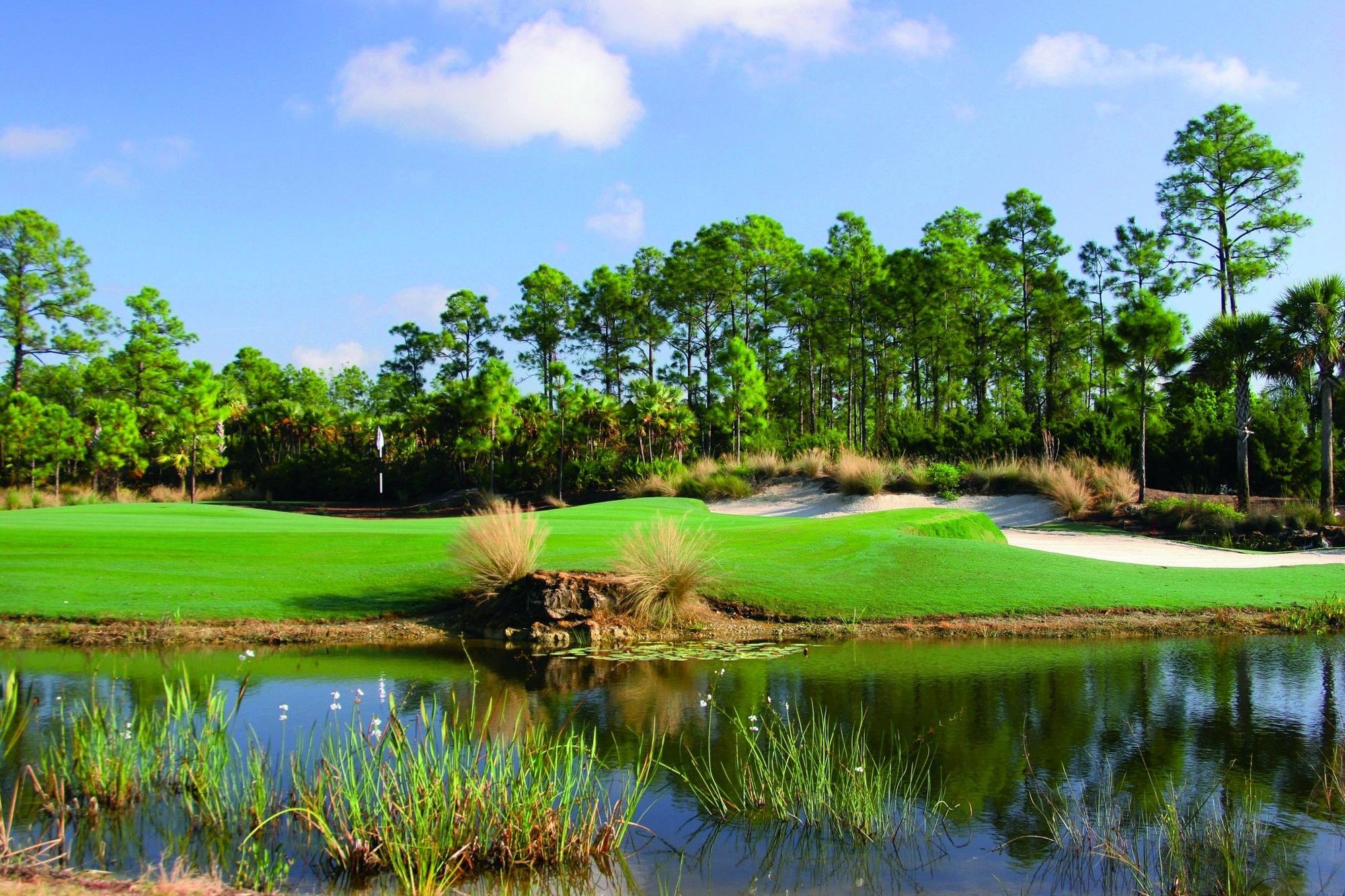 Resort The Ritz-carlton Naples, Tiburon 5*