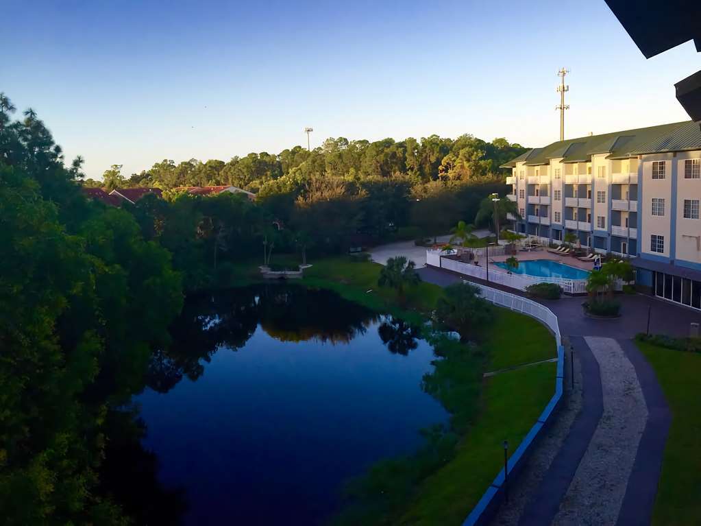 Western Naples Plaza Vineyards