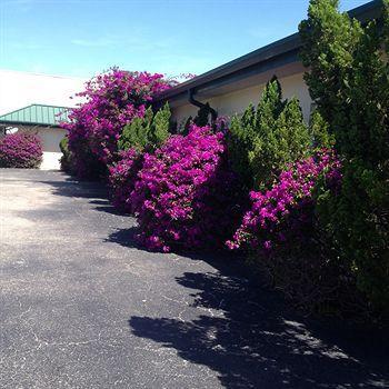 Sea Shell Motel Naples