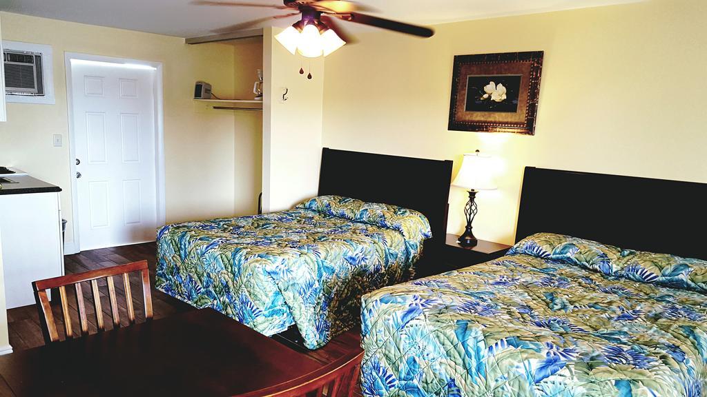 Sea Shell Naples