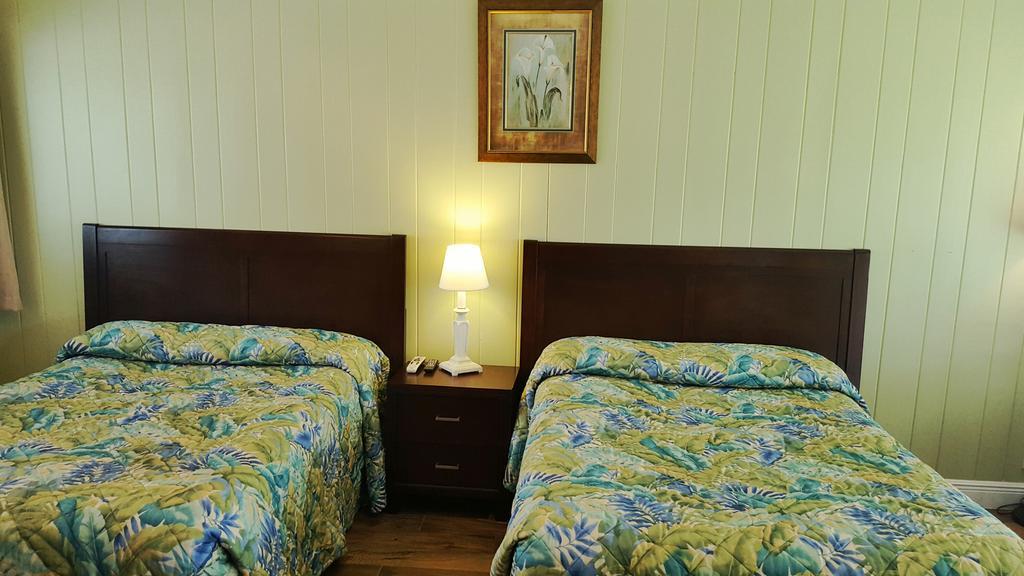 Sea Shell Naples