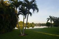 123cape Vacation Fl Apartment Naples