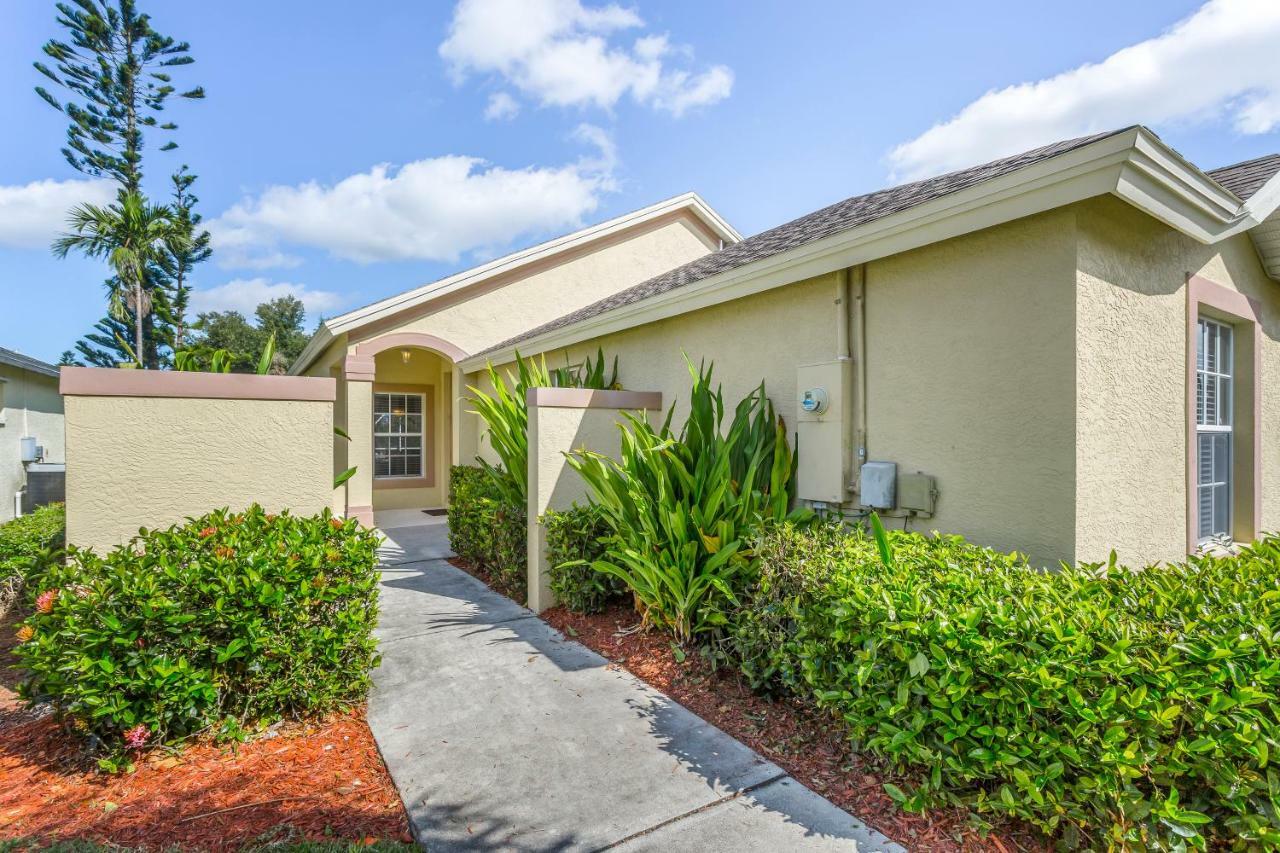 Peace Rose At Briarwood * Naples