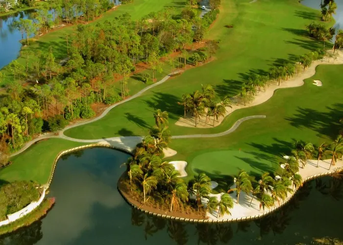 Sunny Slice Of Paradise