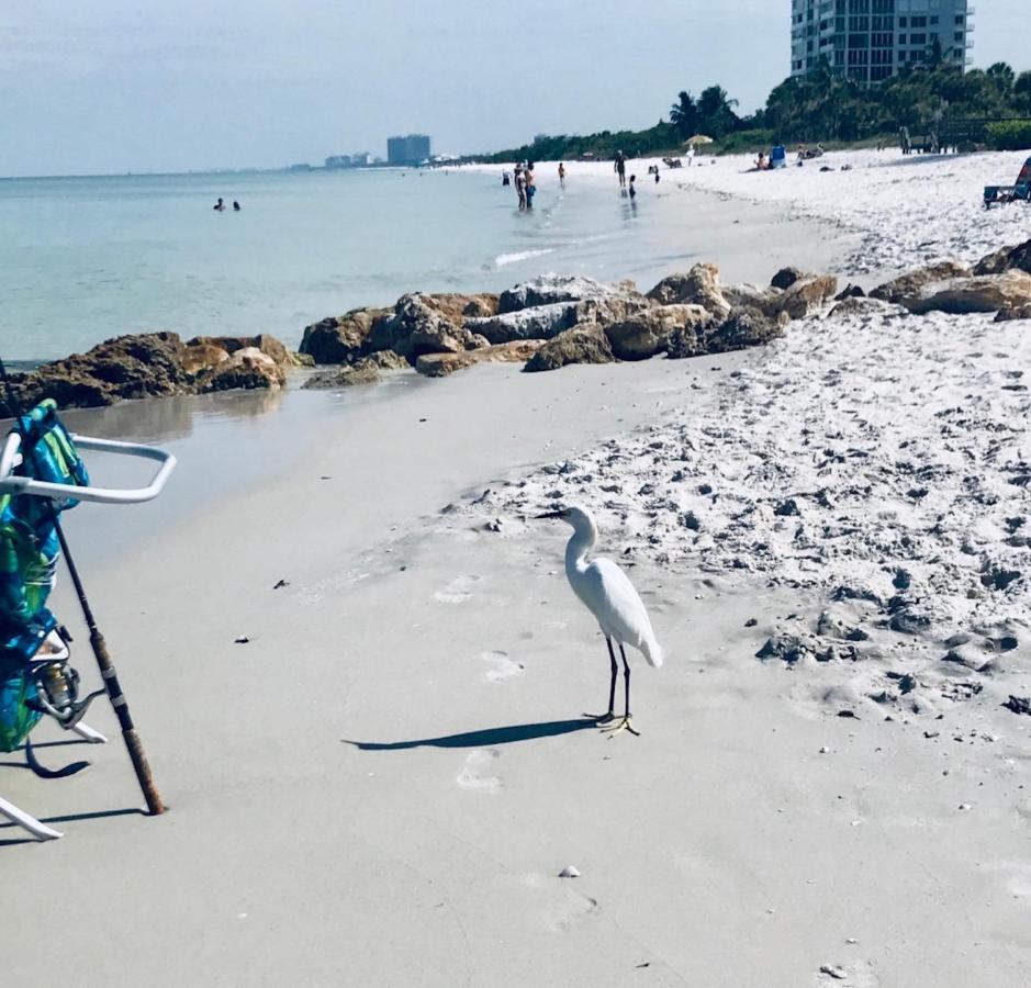 Sunny And Relaxing 2br With Parking! *