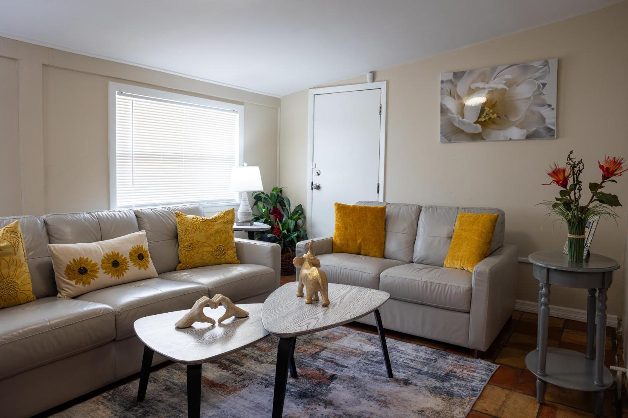 Comfy 3 Bedroom With Parking & Close To Everything Holiday home
