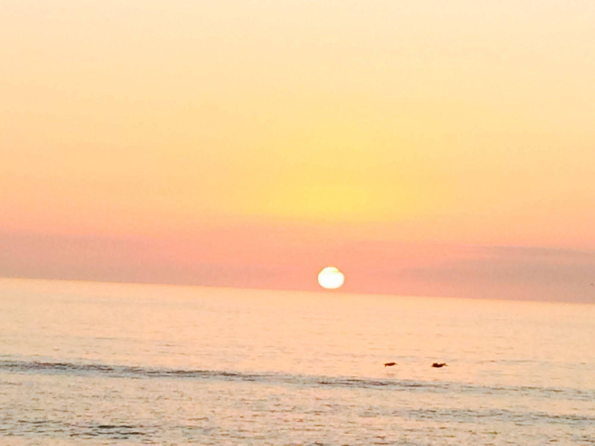 Sunrise Motel Naples