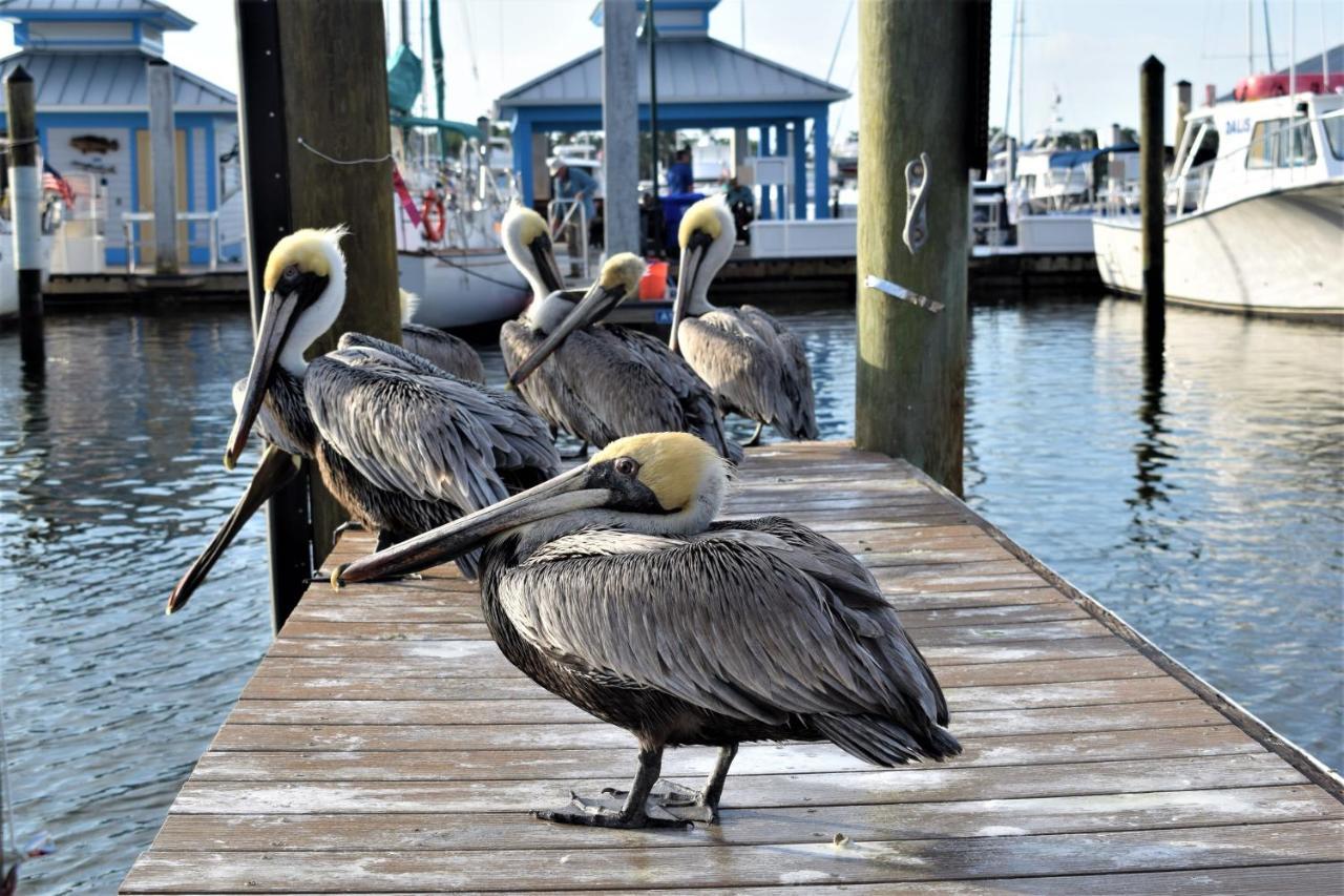Cove On Bay Naples